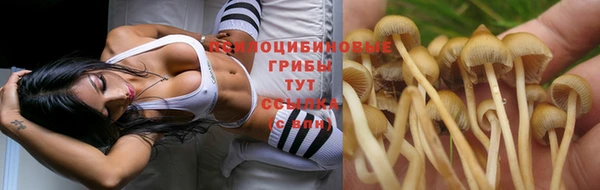герыч Абдулино