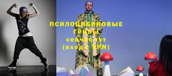 гашик Абинск