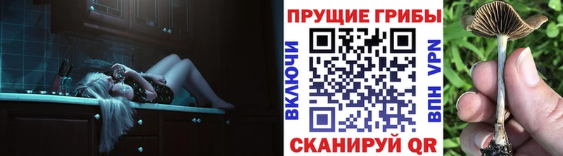 Галлюциногенные грибы прущие грибы  Старый Крым 